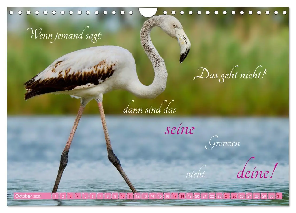 Bild: 9783457326671 | The Power Of Pink (Wandkalender 2026 DIN A4 quer), CALVENDO...