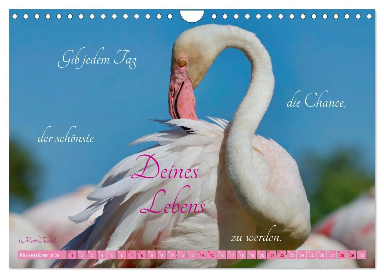 Bild: 9783457326671 | The Power Of Pink (Wandkalender 2026 DIN A4 quer), CALVENDO...
