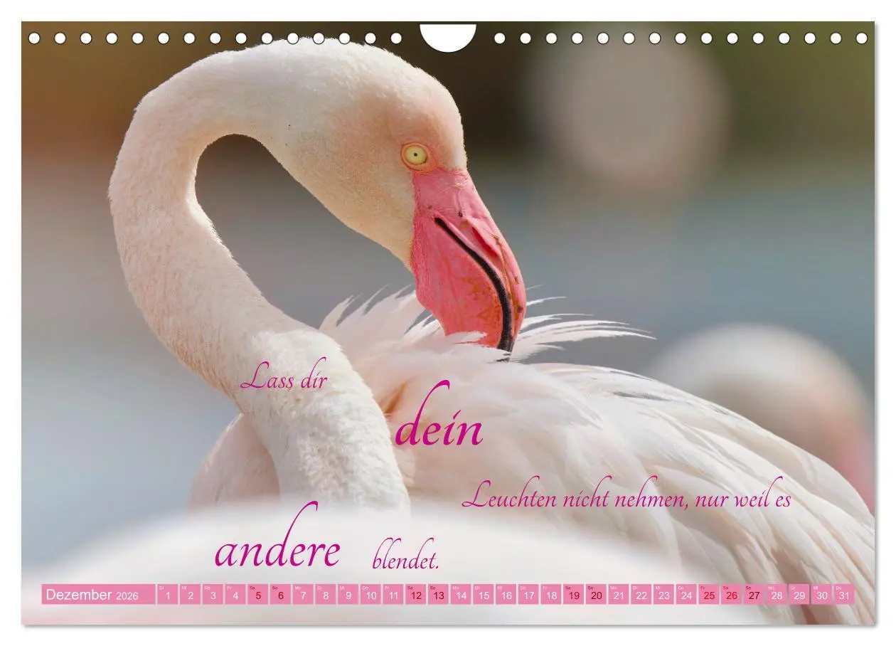 Bild: 9783457326671 | The Power Of Pink (Wandkalender 2026 DIN A4 quer), CALVENDO...