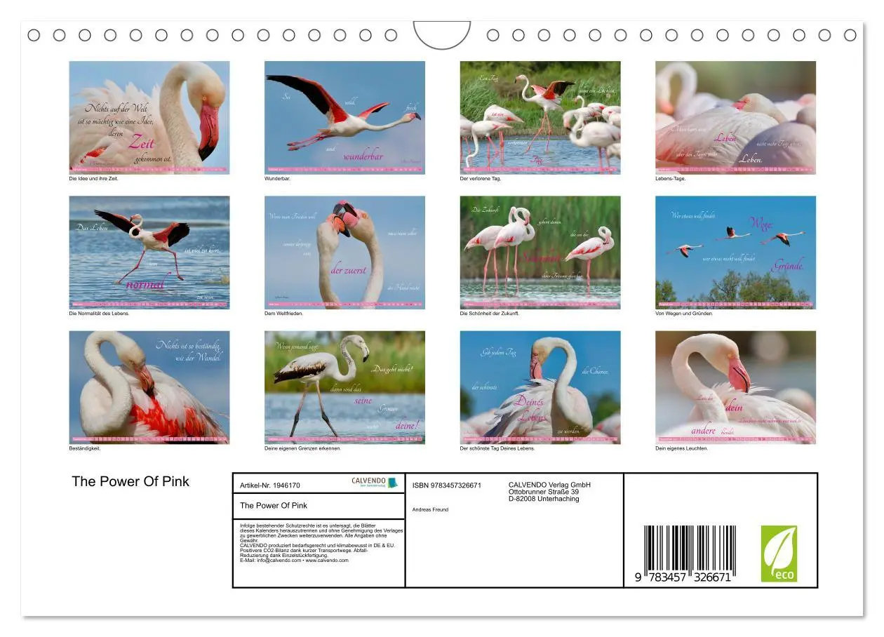 Bild: 9783457326671 | The Power Of Pink (Wandkalender 2026 DIN A4 quer), CALVENDO...
