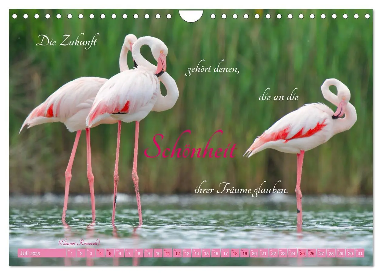 Bild: 9783457326671 | The Power Of Pink (Wandkalender 2026 DIN A4 quer), CALVENDO...
