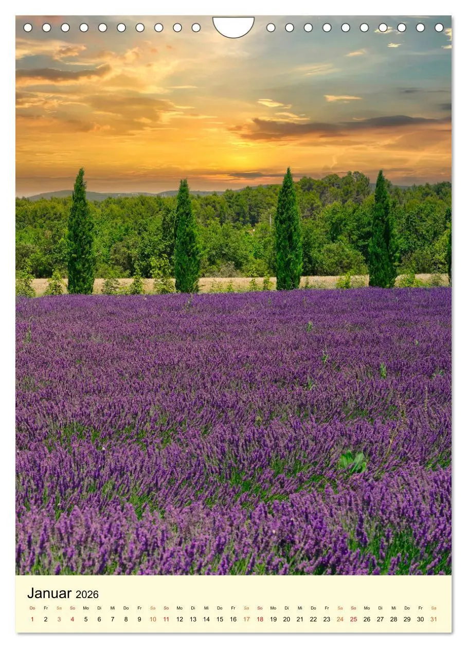 Bild: 9783516346671 | Provence Lavendel Paradies (Wandkalender 2026 DIN A4 hoch),...