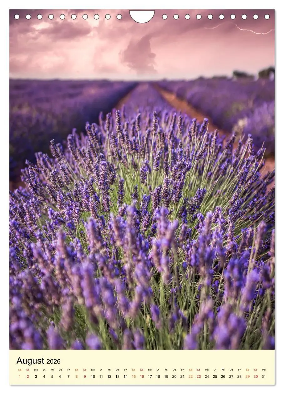 Bild: 9783516346671 | Provence Lavendel Paradies (Wandkalender 2026 DIN A4 hoch),...