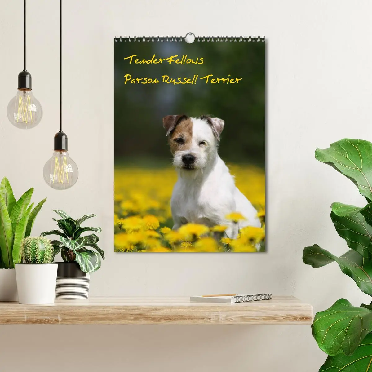 Bild: 9783516416671 | Tender Fellows - Parson Russell Terrier (Wandkalender 2026 DIN A3...