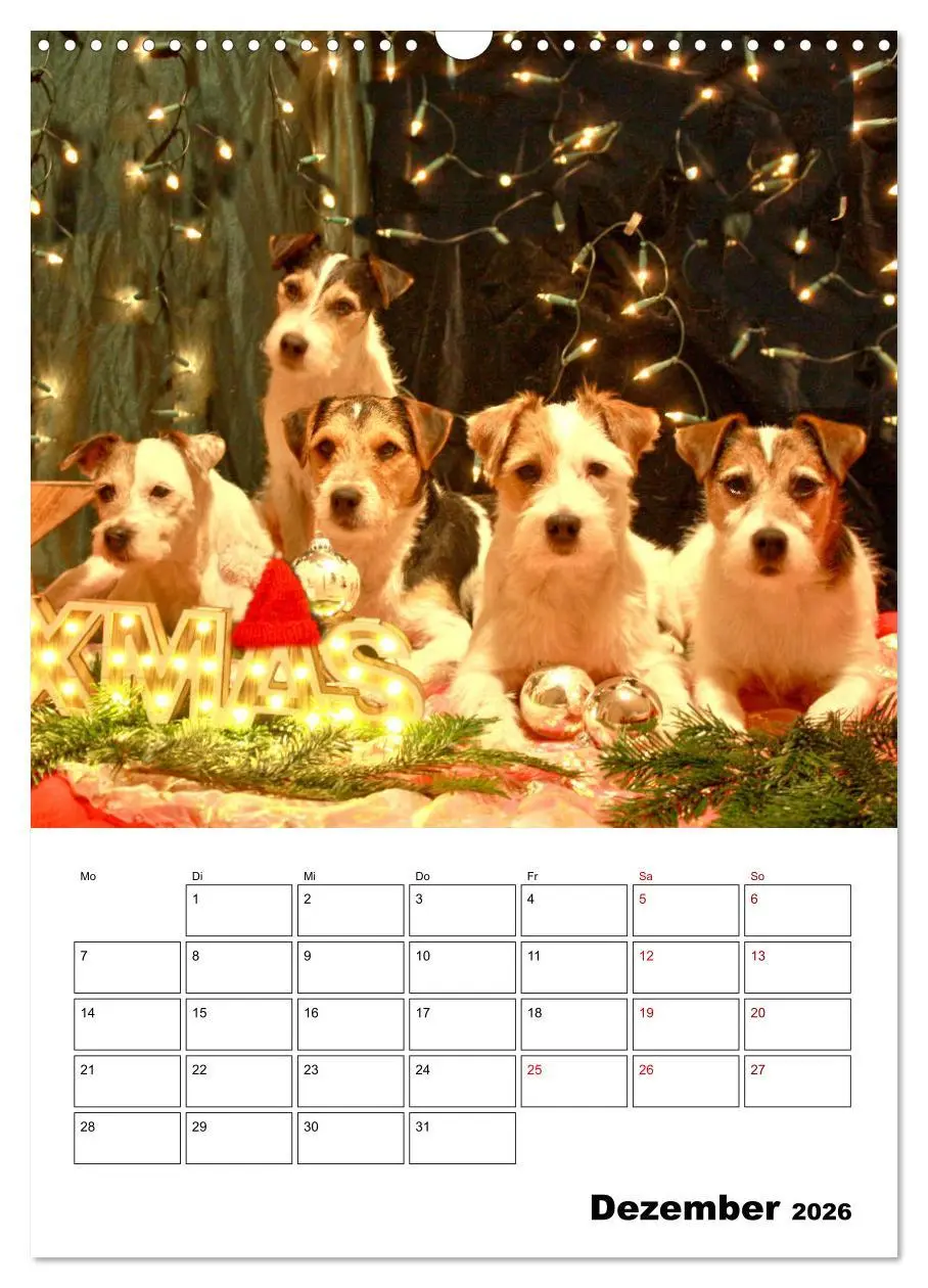 Bild: 9783516416671 | Tender Fellows - Parson Russell Terrier (Wandkalender 2026 DIN A3...