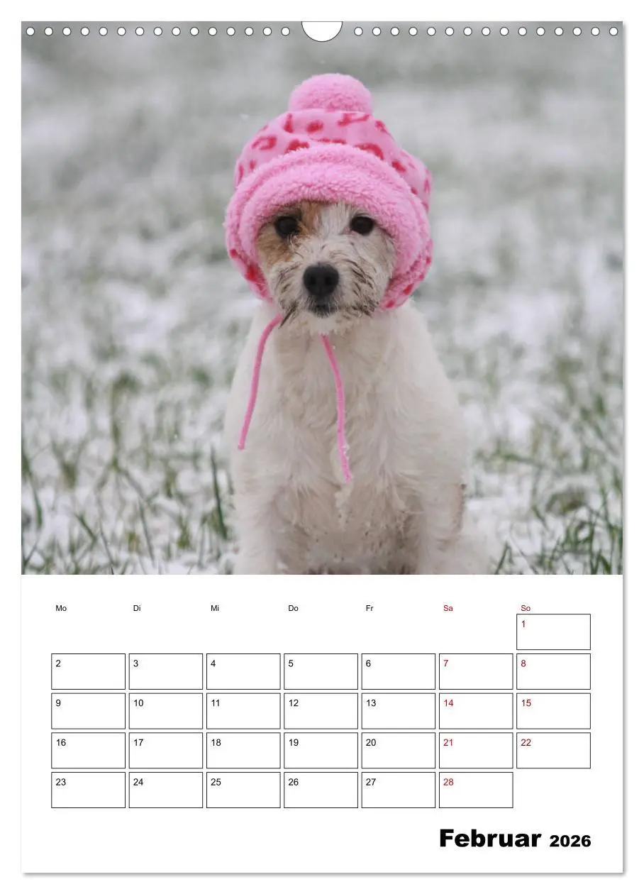 Bild: 9783516416671 | Tender Fellows - Parson Russell Terrier (Wandkalender 2026 DIN A3...