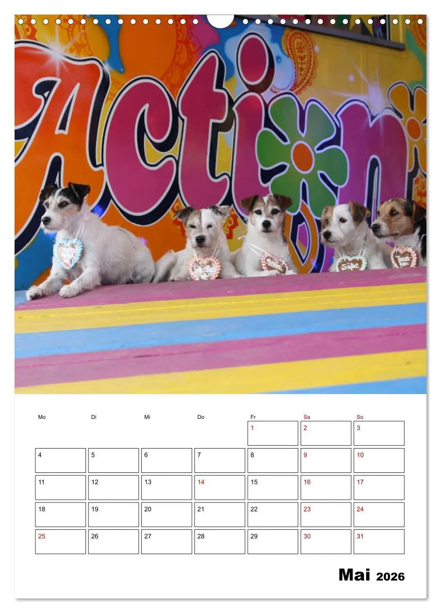 Bild: 9783516416671 | Tender Fellows - Parson Russell Terrier (Wandkalender 2026 DIN A3...