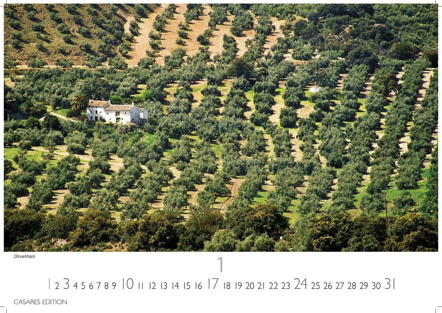 Bild: 9781835246771 | Andalusien Kalender 2027 - Wandkalender Fotokalender Spanien 35x50...