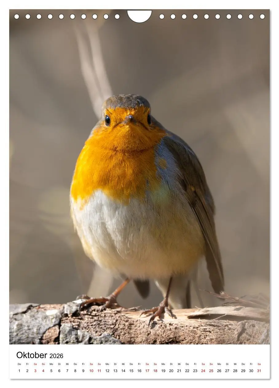 Bild: 9783516336771 | Heimische Vögel in Ihren Gärten (Wandkalender 2026 DIN A4 hoch),...