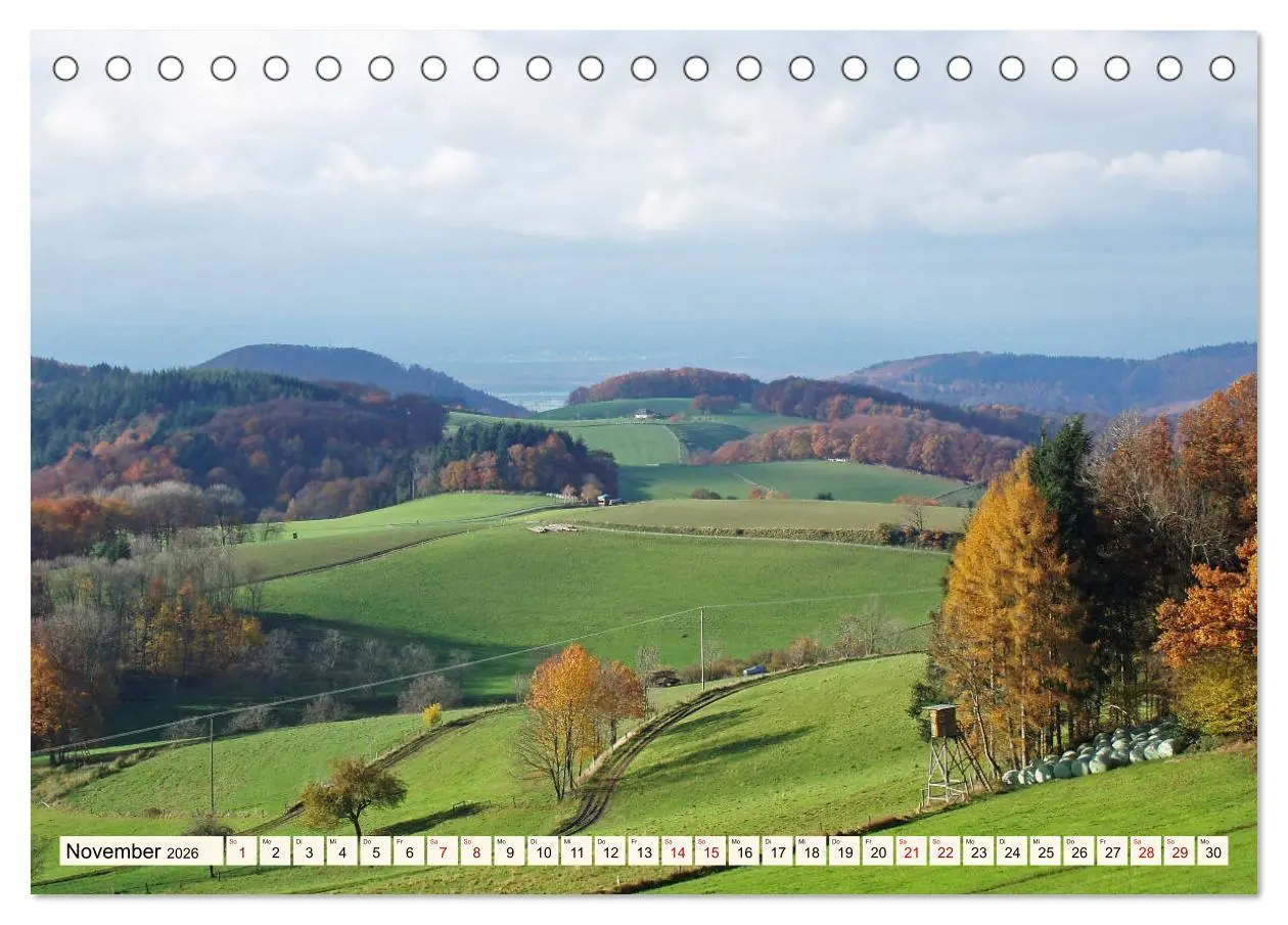Bild: 9783457786871 | Viele Wege - ein Ziel Wandern im Odenwald (Tischkalender 2026 DIN...