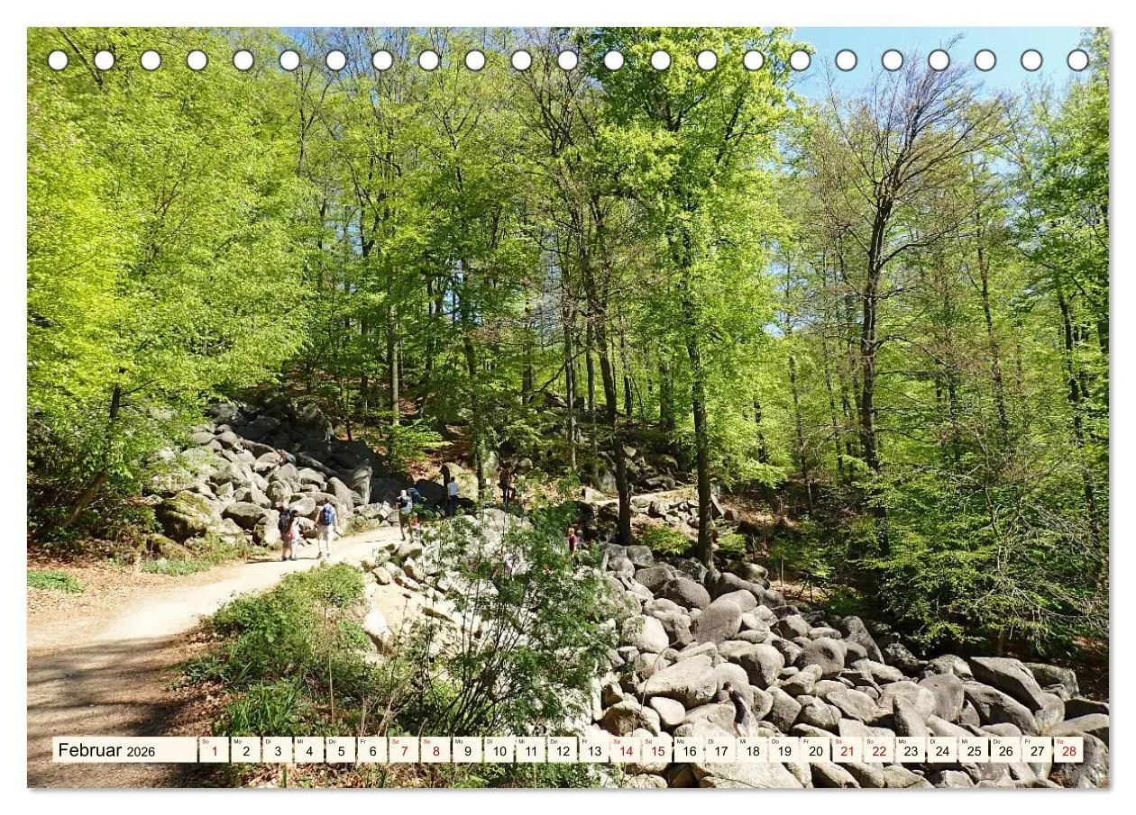 Bild: 9783457786871 | Viele Wege - ein Ziel Wandern im Odenwald (Tischkalender 2026 DIN...