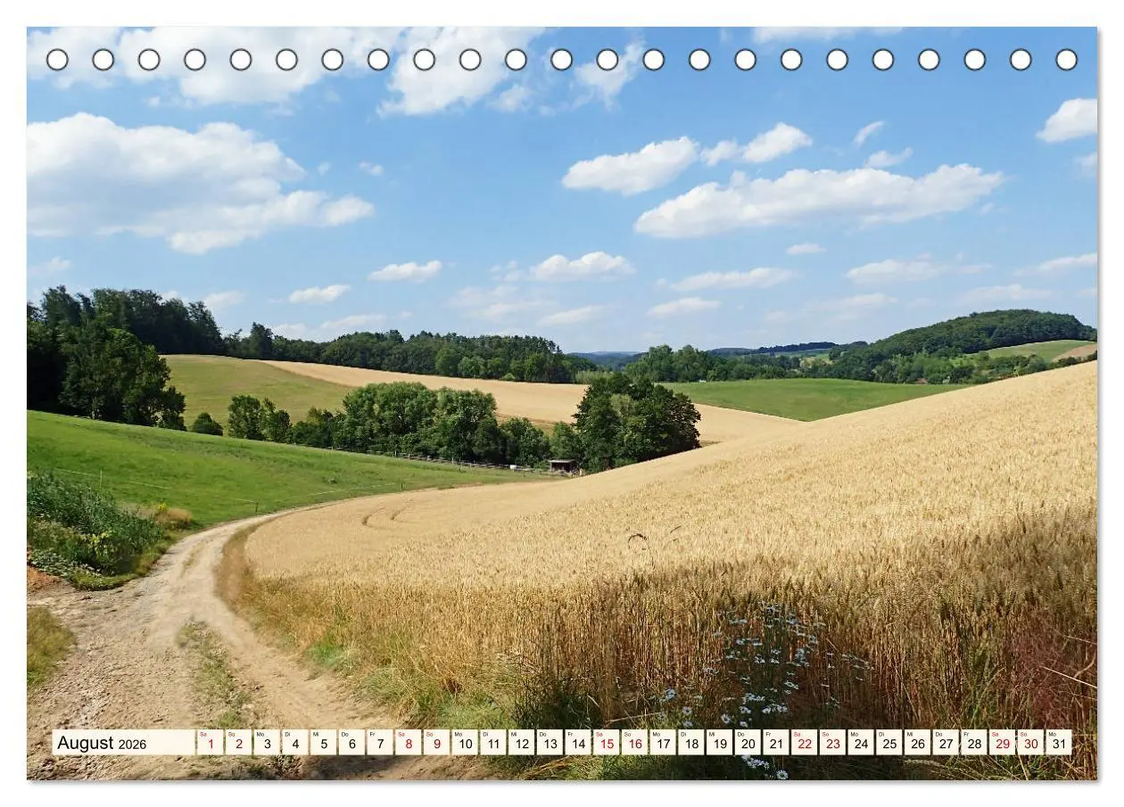 Bild: 9783457786871 | Viele Wege - ein Ziel Wandern im Odenwald (Tischkalender 2026 DIN...