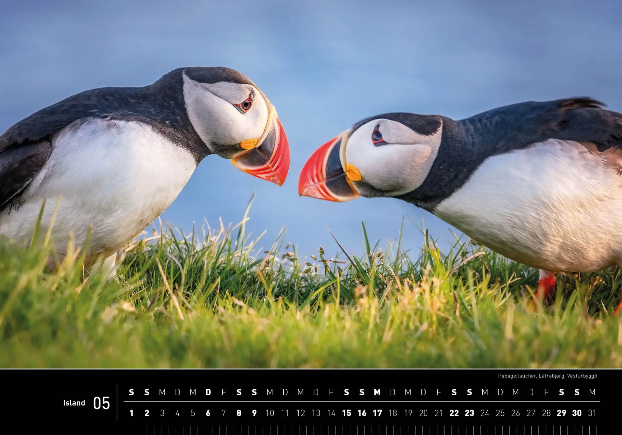 Bild: 9783968556871 | Island Premiumkalender 2027 | Petra Zwerger-Schoner | Kalender | 14 S.