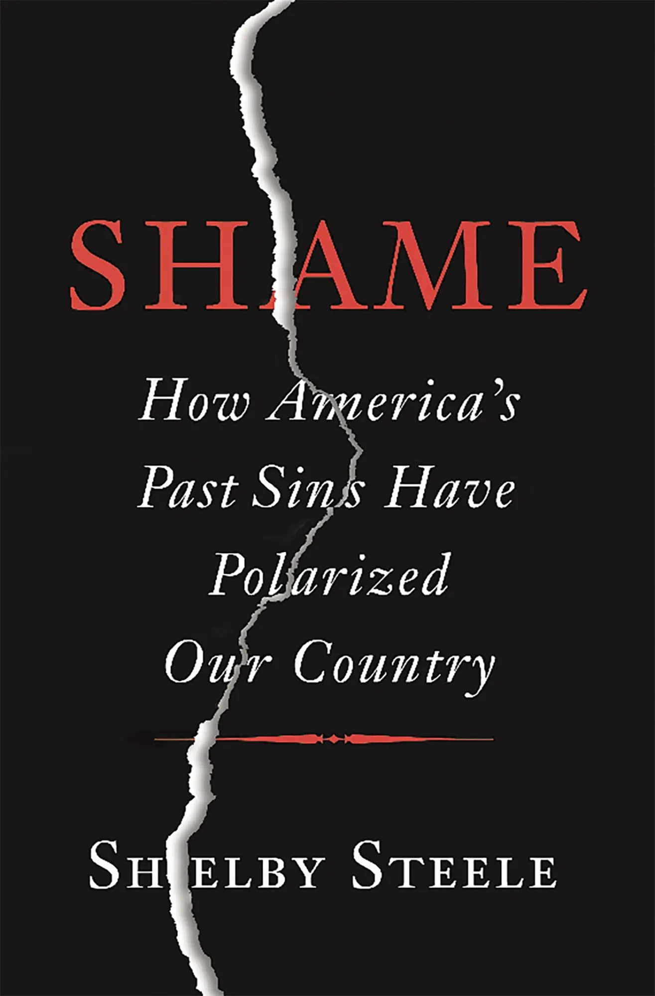 Cover: 9780465066971 | Shame | How America's Past Sins Have Polarized Our Country | Steele