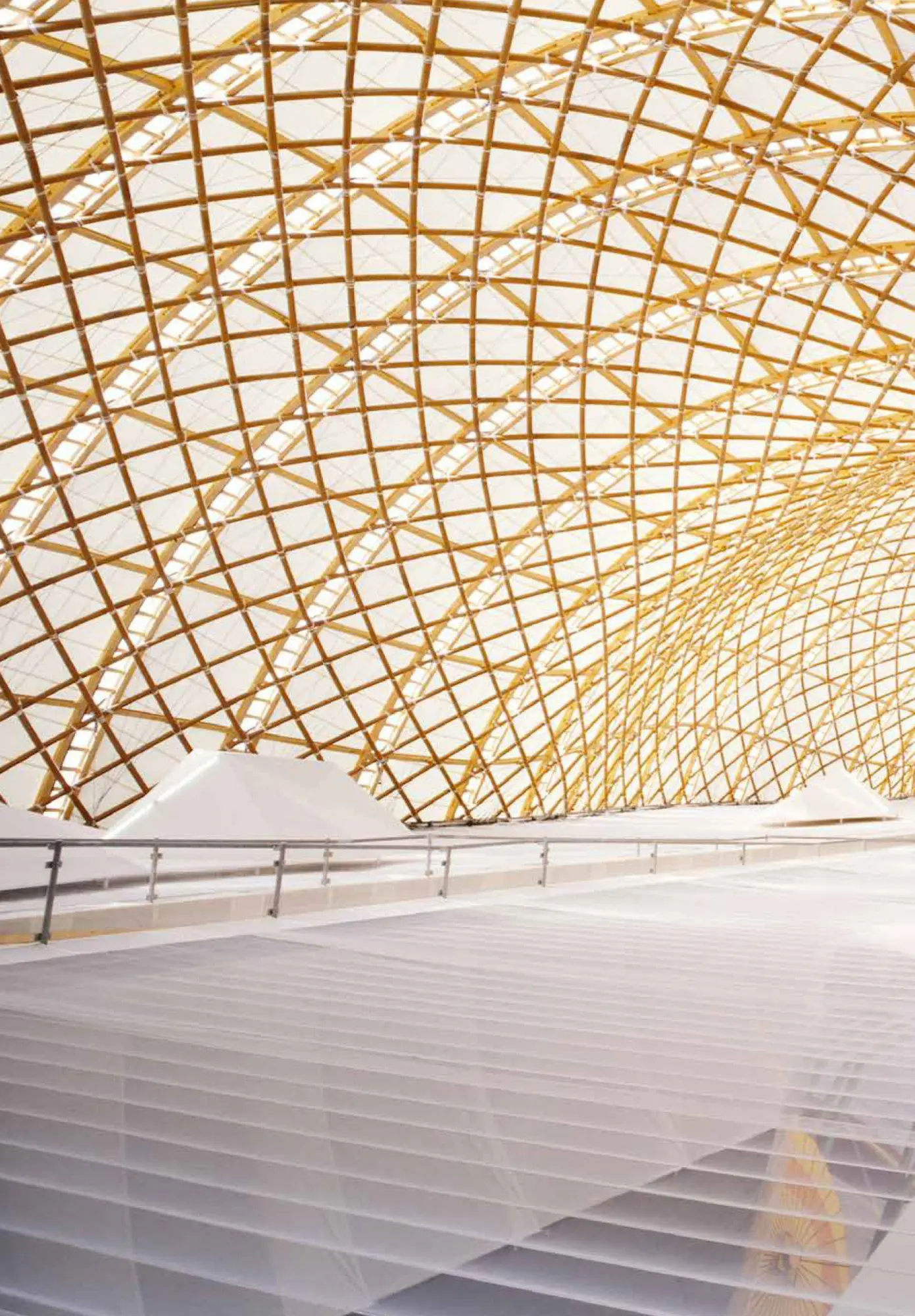 Bild: 9783035626971 | Reconstructing the Future | Cities as Carbon Sinks | Earth (u. a.)