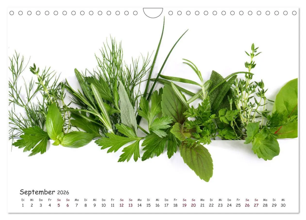 Bild: 9783457916971 | Food Panorama - Küchenkalender 2026 (Wandkalender 2026 DIN A4...