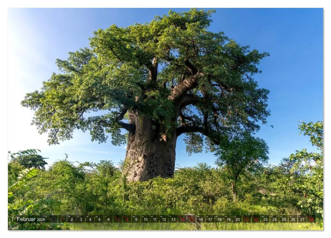 Bild: 9783516626971 | Namibia und Botswana - Entdeckungen in der Weite Afrikas...