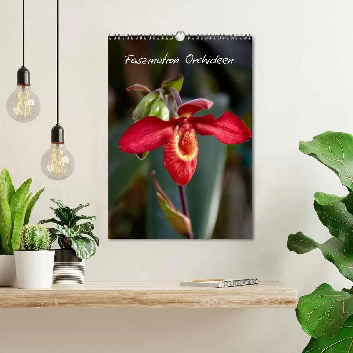 Bild: 9783594226971 | Faszination Orchideen (Wandkalender 2027 DIN A3 hoch), CALVENDO...