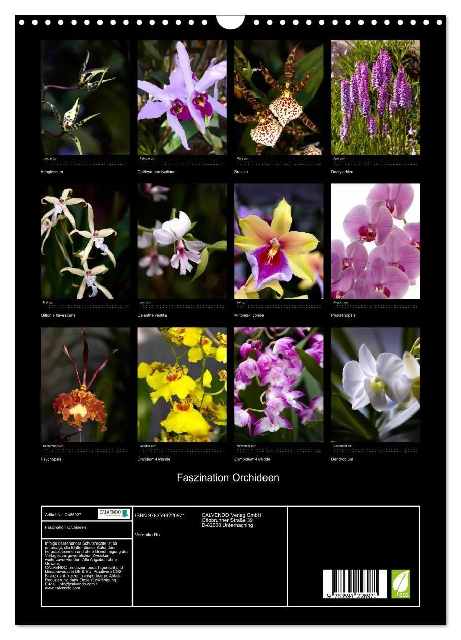 Bild: 9783594226971 | Faszination Orchideen (Wandkalender 2027 DIN A3 hoch), CALVENDO...