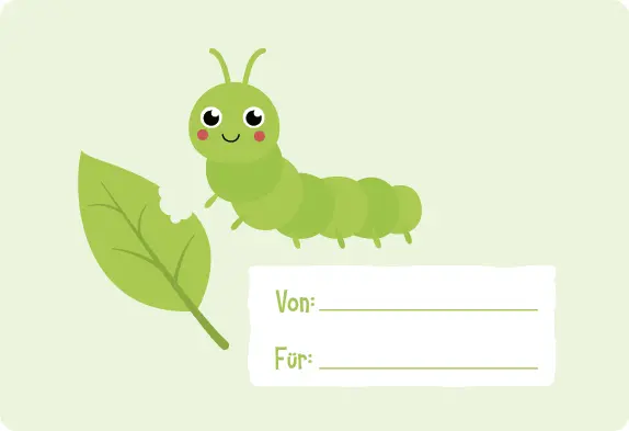 Bild: 9783817446971 | Meine Sticker + Karten + Box - Erste Farben | Vanessa Götz | Buch