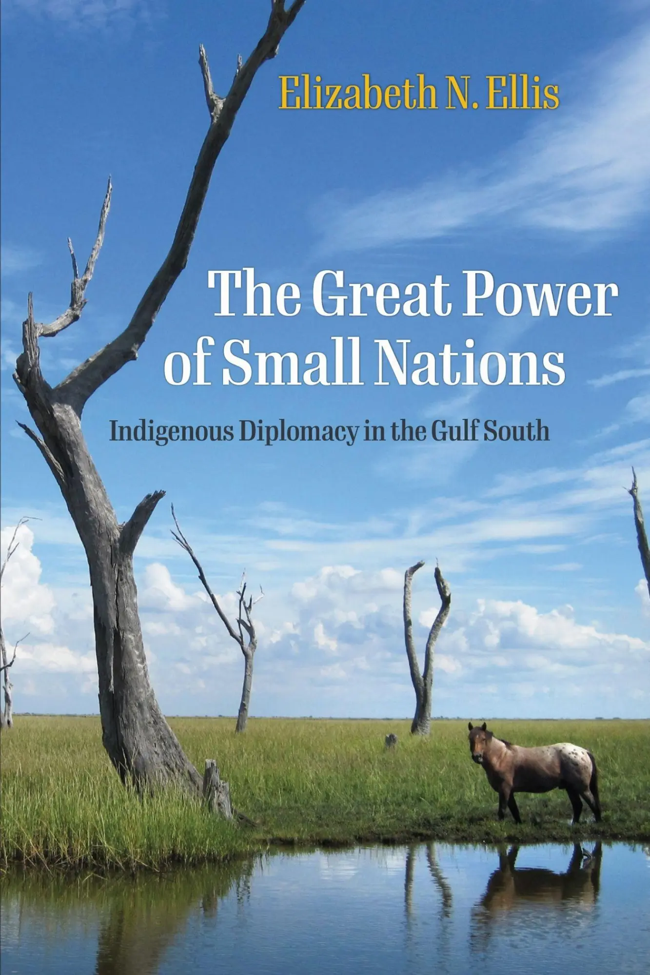 Cover: 9781512827071 | The Great Power of Small Nations | Elizabeth N Ellis | Taschenbuch