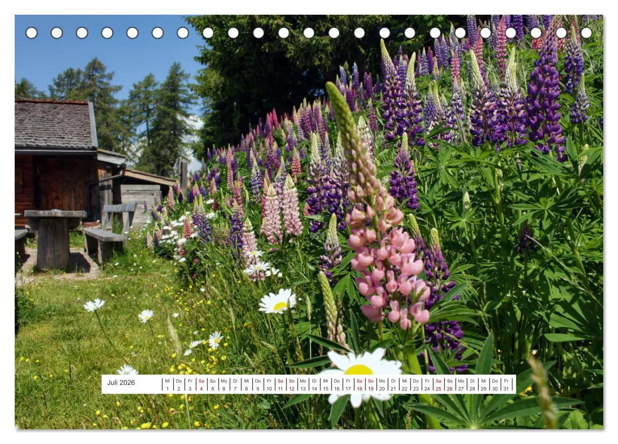 Bild: 9783457597071 | Zauber der Berglandschaft (Tischkalender 2026 DIN A5 quer),...
