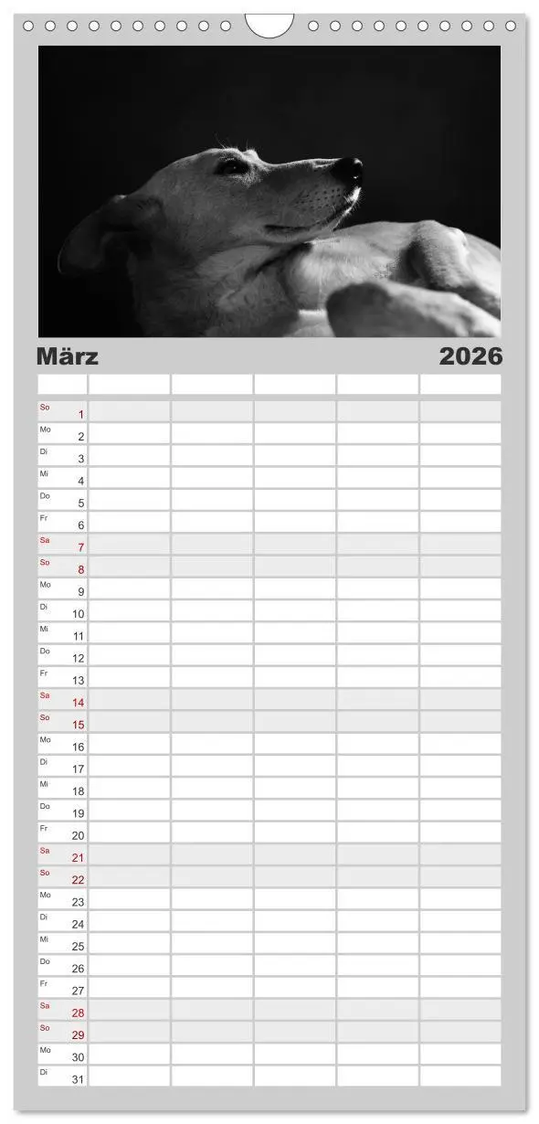 Bild: 9783516517071 | Familienplaner 2026 - Hundeportraits Fine Art mit 5 Spalten...