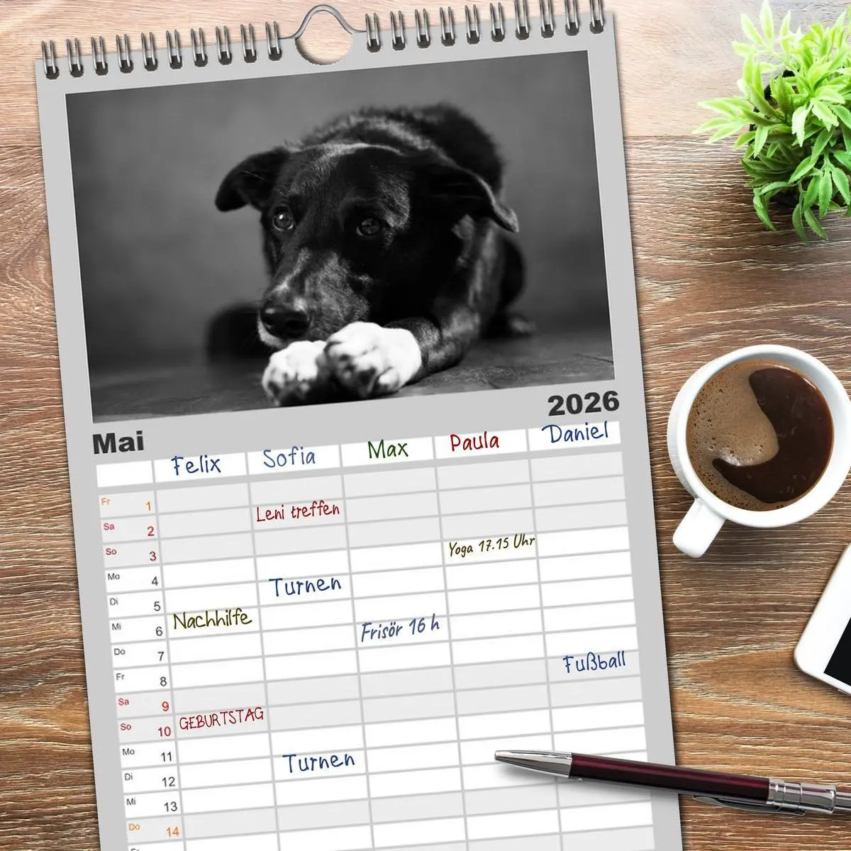Bild: 9783516517071 | Familienplaner 2026 - Hundeportraits Fine Art mit 5 Spalten...