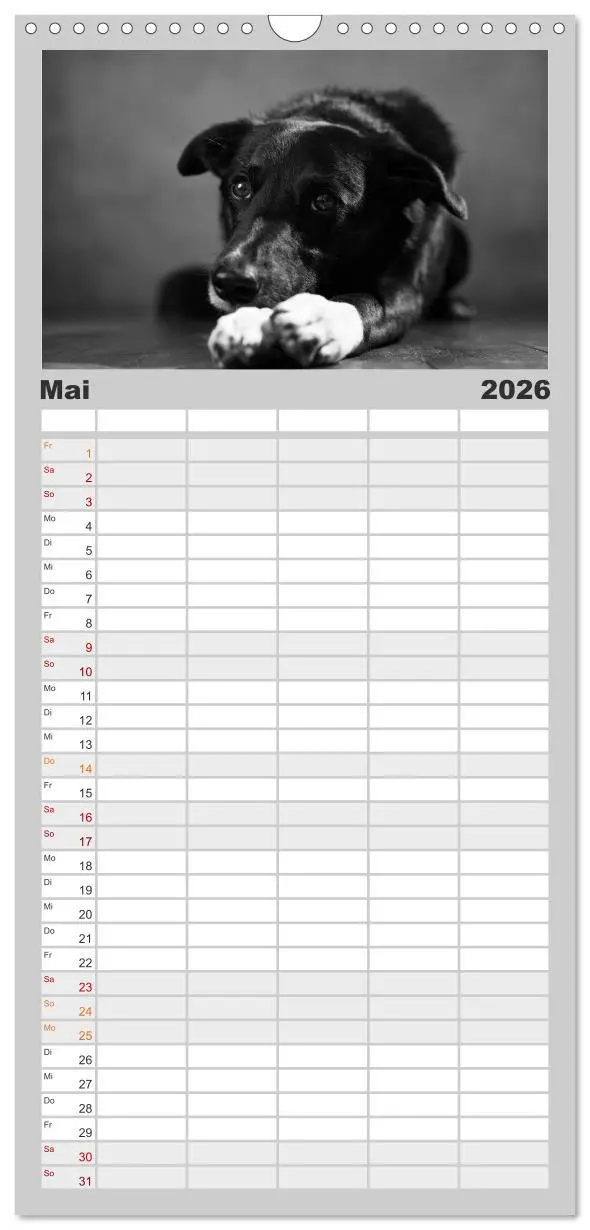Bild: 9783516517071 | Familienplaner 2026 - Hundeportraits Fine Art mit 5 Spalten...