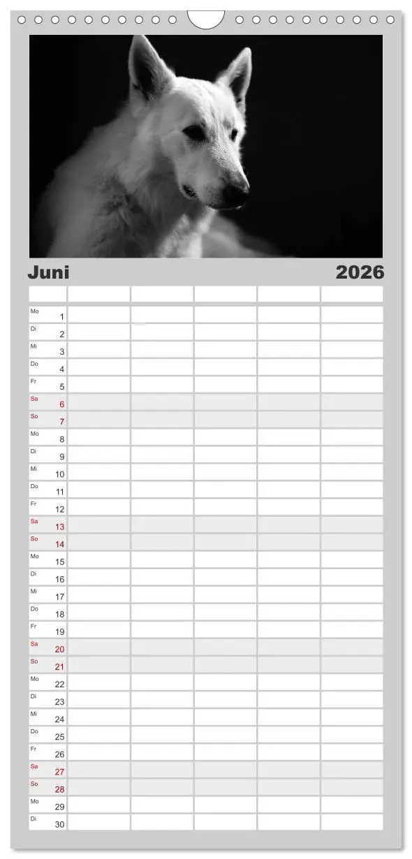 Bild: 9783516517071 | Familienplaner 2026 - Hundeportraits Fine Art mit 5 Spalten...