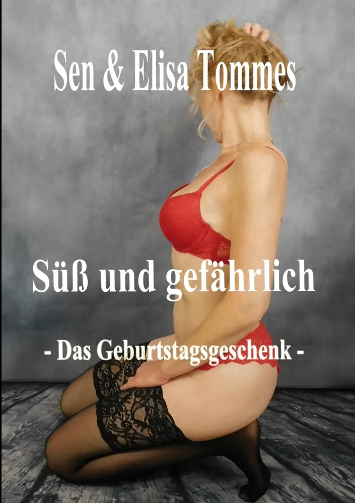 Cover: 9783384607171 | DAS GEBURTSTAGSGESCHENK | Ein erotisches Fotoshooting | Tommes | Buch