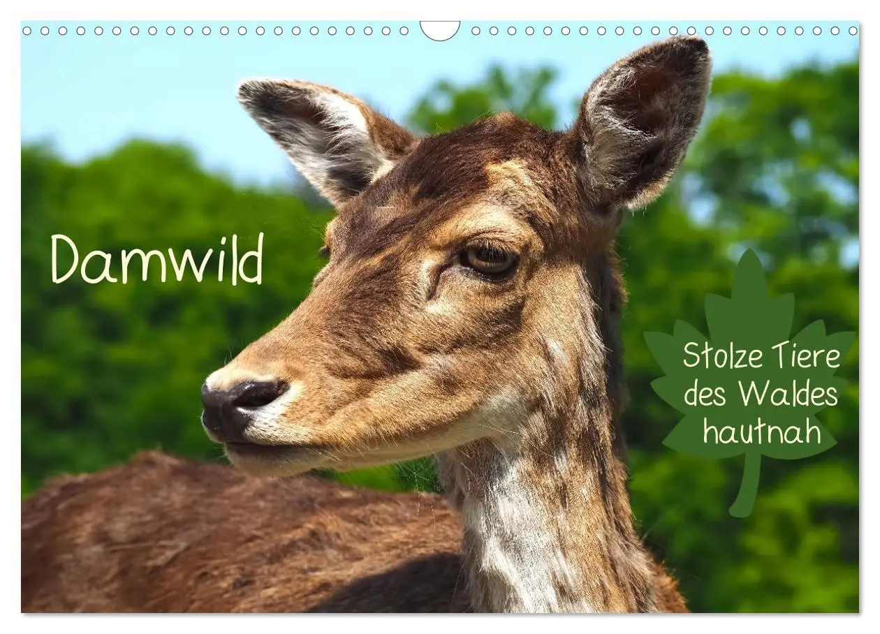 Cover: 9783457587171 | Damwild - stolze Tiere des Waldes hautnah (Wandkalender 2026 DIN A3...