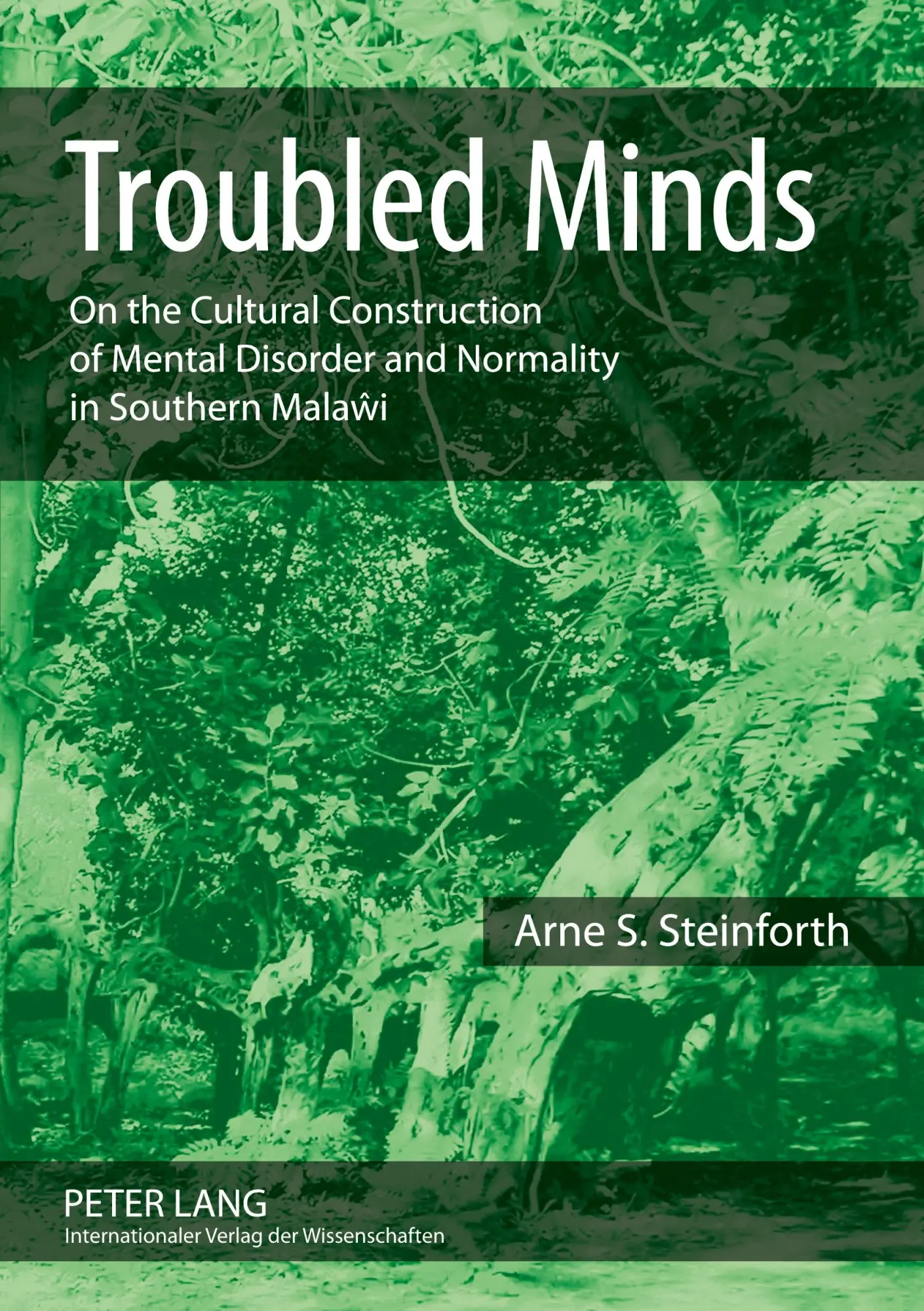 Cover: 9783631587171 | Troubled Minds | Arne S. Steinforth | Taschenbuch | Englisch | 2009
