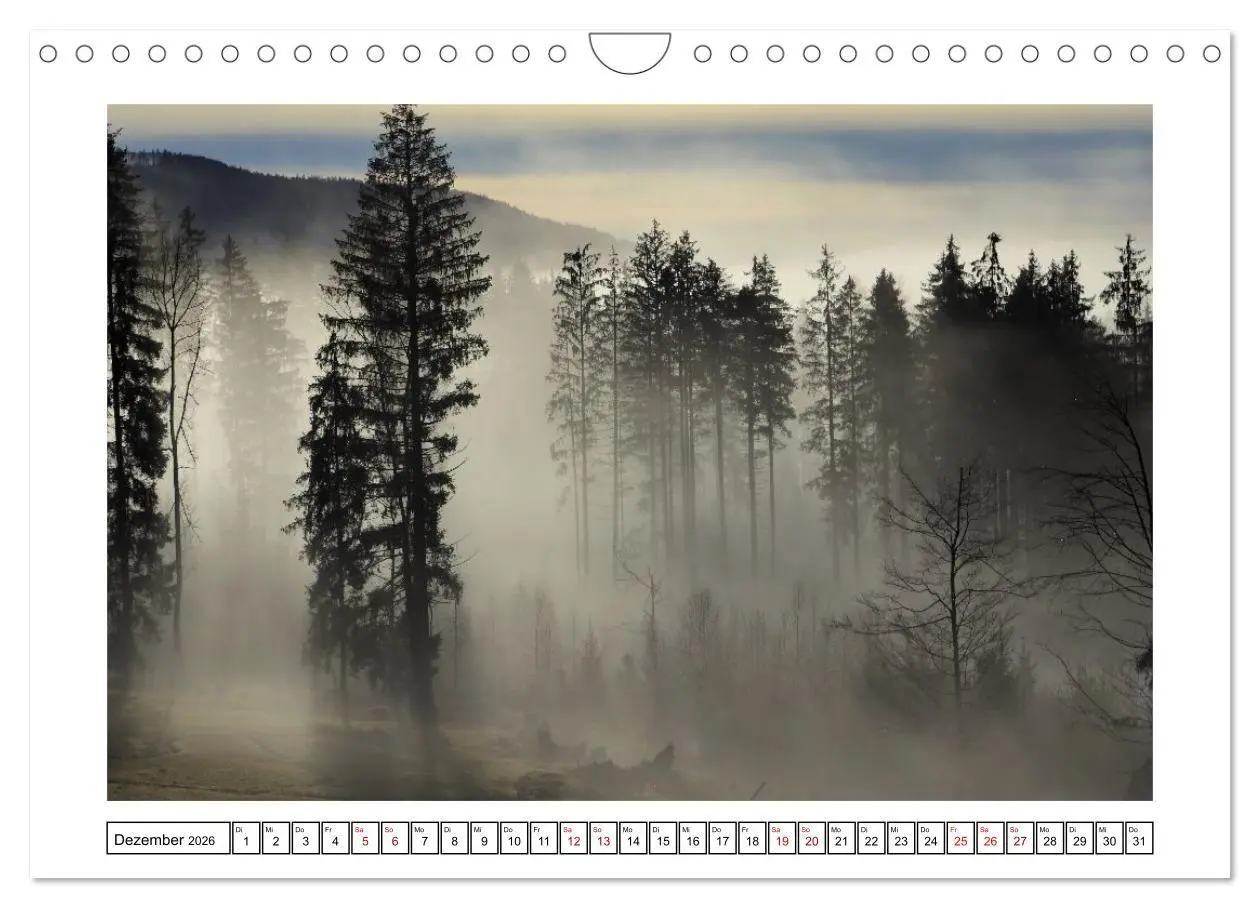 Bild: 9783516667271 | Ein Glücksfall für die Natur- Nationalpark Bayerischer Wald...