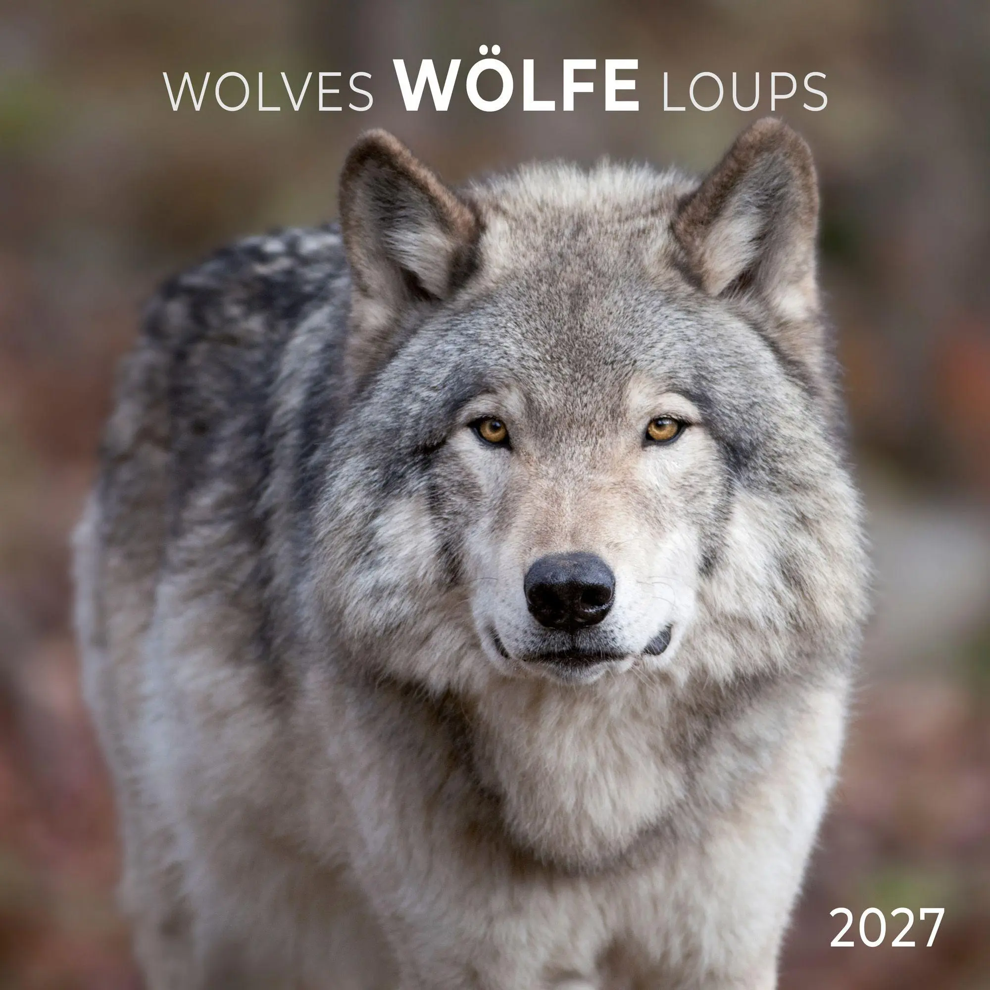 Cover: 9783959297271 | Wölfe / Wolves 2027 | Kalender 2027 | Kalender | Artwork Edition