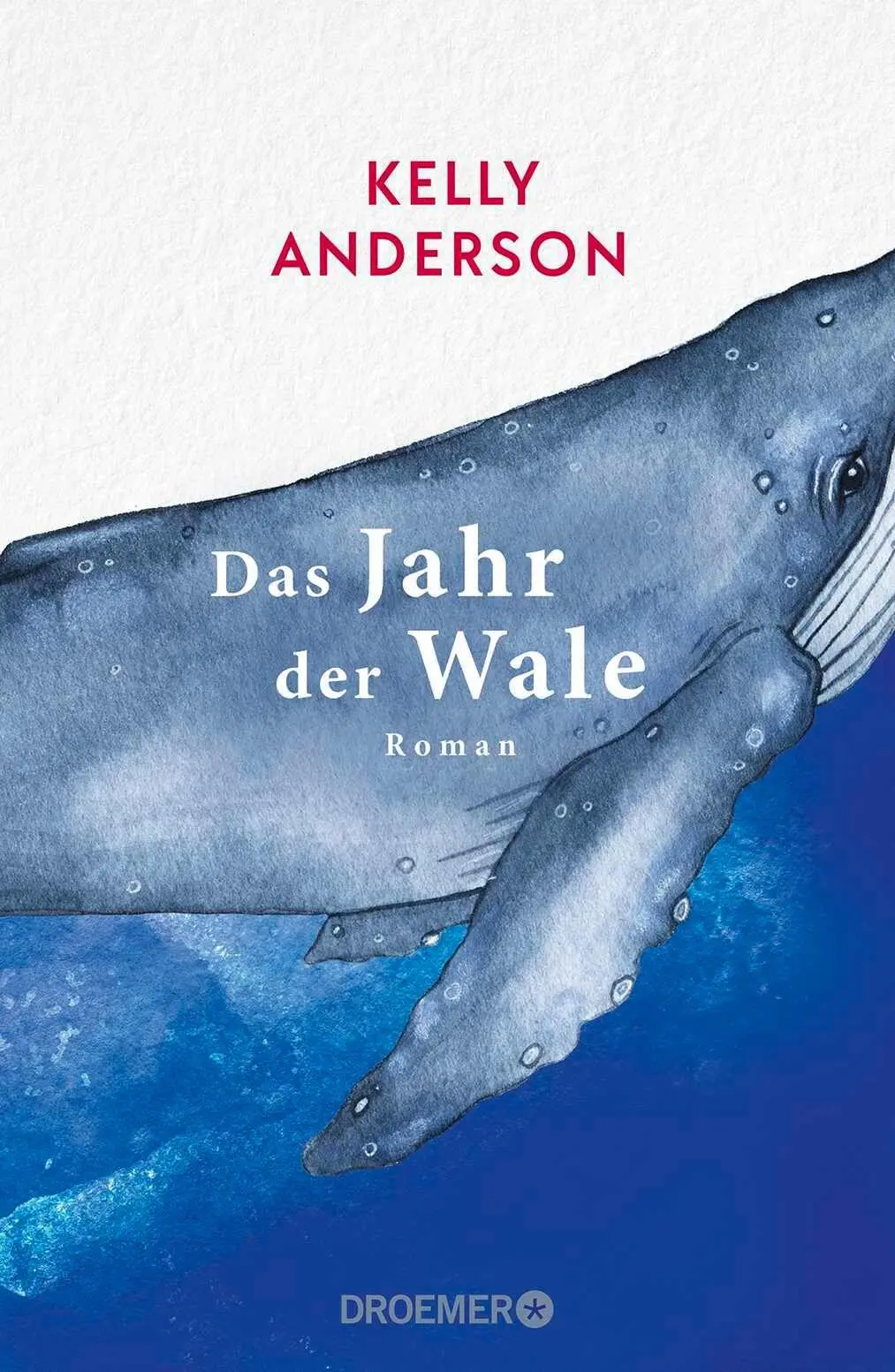 Cover: 9783426567371 | Das Jahr der Wale | Kelly Anderson | Buch | 384 S. | Deutsch | 2026