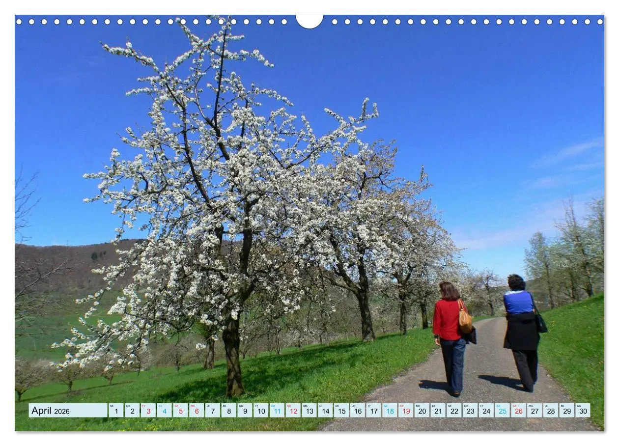 Bild: 9783457947371 | Stimmungsvolle Schwäbische Alb (Wandkalender 2026 DIN A3 quer),...