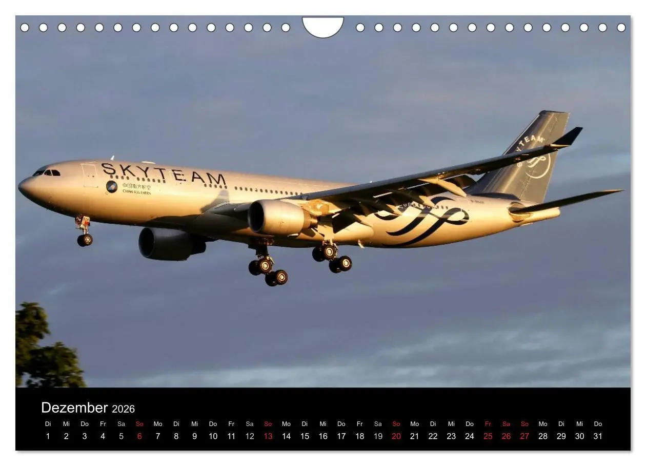 Bild: 9783516037371 | Schönheit der Flugzeuge (Wandkalender 2026 DIN A4 quer), CALVENDO...