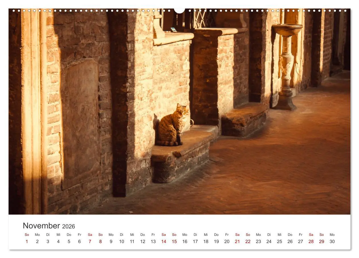 Bild: 9783457557471 | Bologna - Impressionen der wunderschönen Universitätsstadt....