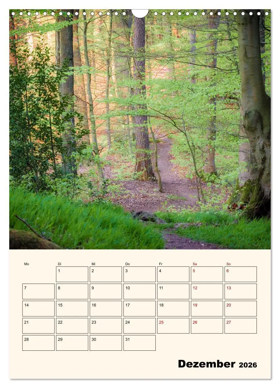 Bild: 9783516267471 | Deutschland. Deutsche Lande, vielfältig und bunt (Wandkalender 2026...