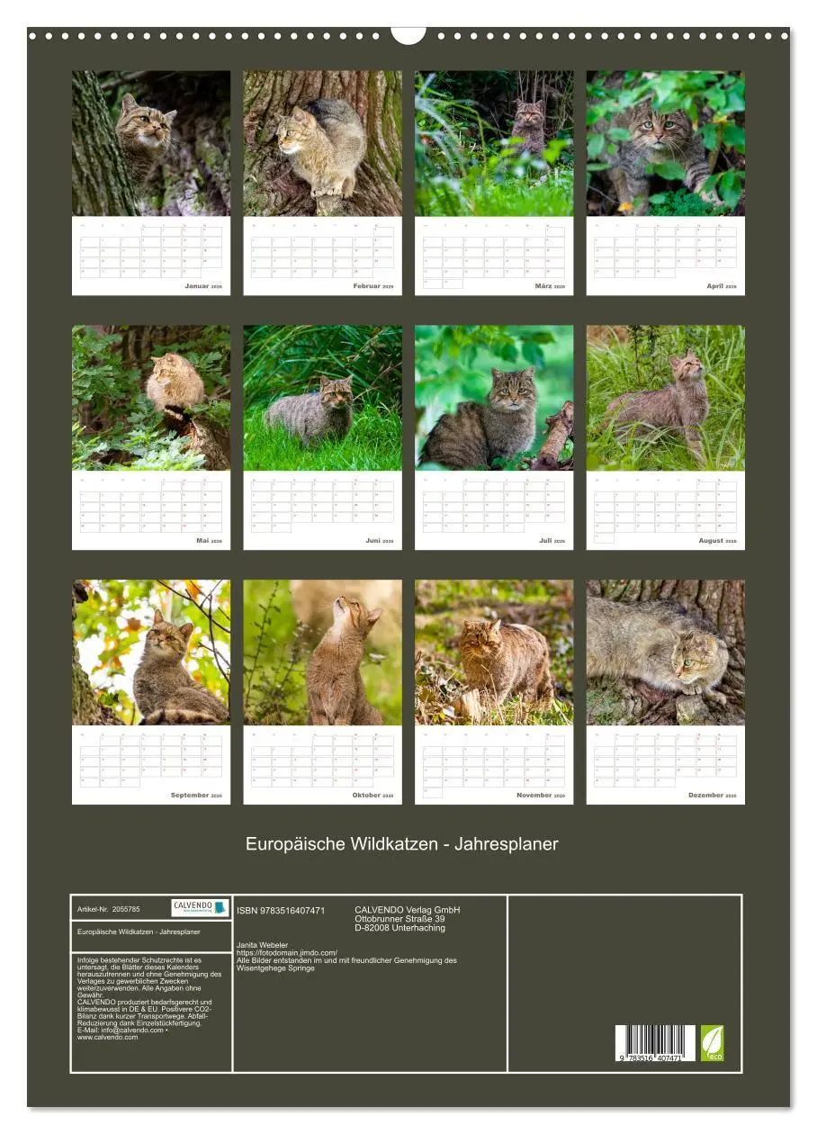 Bild: 9783516407471 | Europäische Wildkatzen - Jahresplaner (Wandkalender 2026 DIN A2...