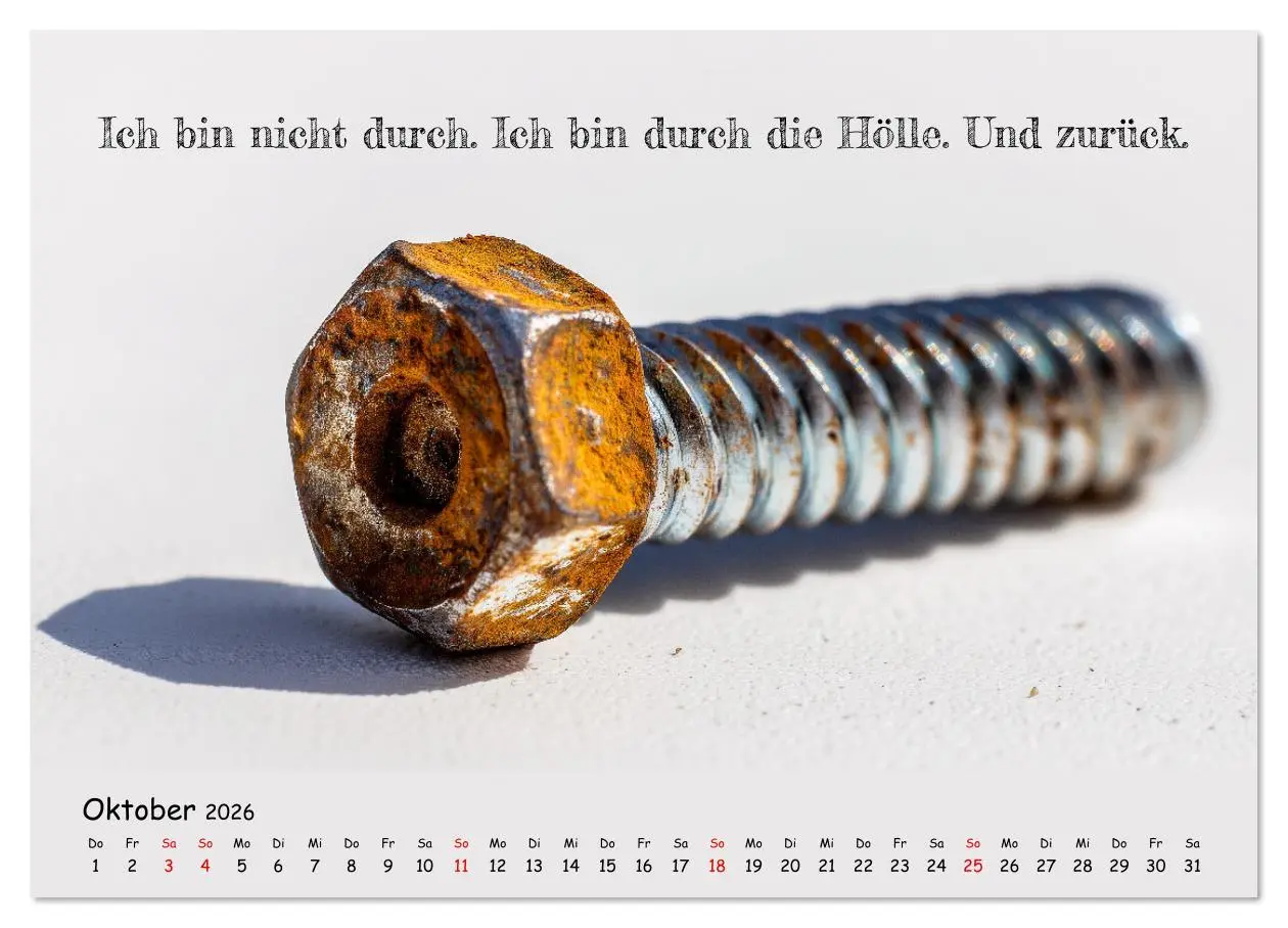 Bild: 9783516637571 | Krebs ist ein Vollidiot - Kalender für alle Kämpfer mit...