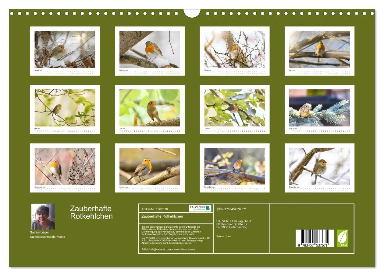 Bild: 9783457537671 | Zauberhafte Rotkehlchen (Wandkalender 2026 DIN A3 quer), CALVENDO...