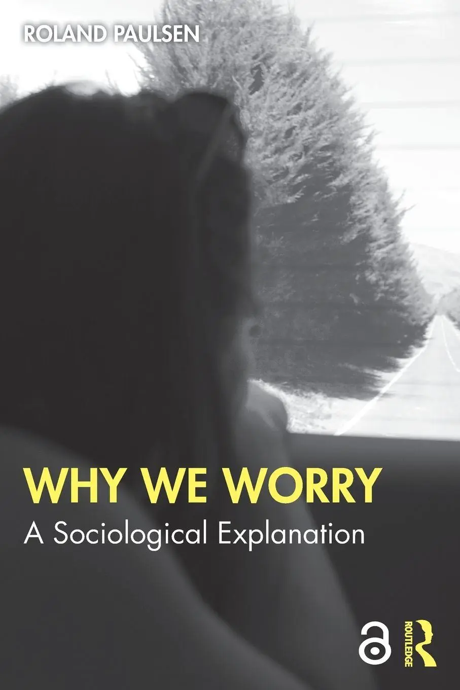 Cover: 9781032847771 | Why We Worry | A Sociological Explanation | Roland Paulsen | Buch