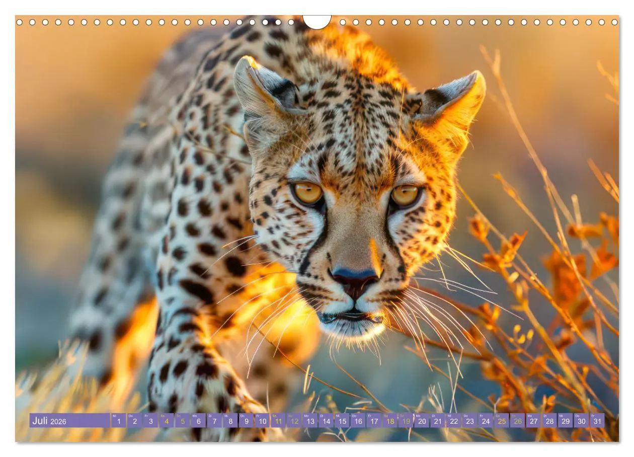 Bild: 9783457387771 | Afrika begeistert - Afrikas Schönheit (Wandkalender 2026 DIN A3...