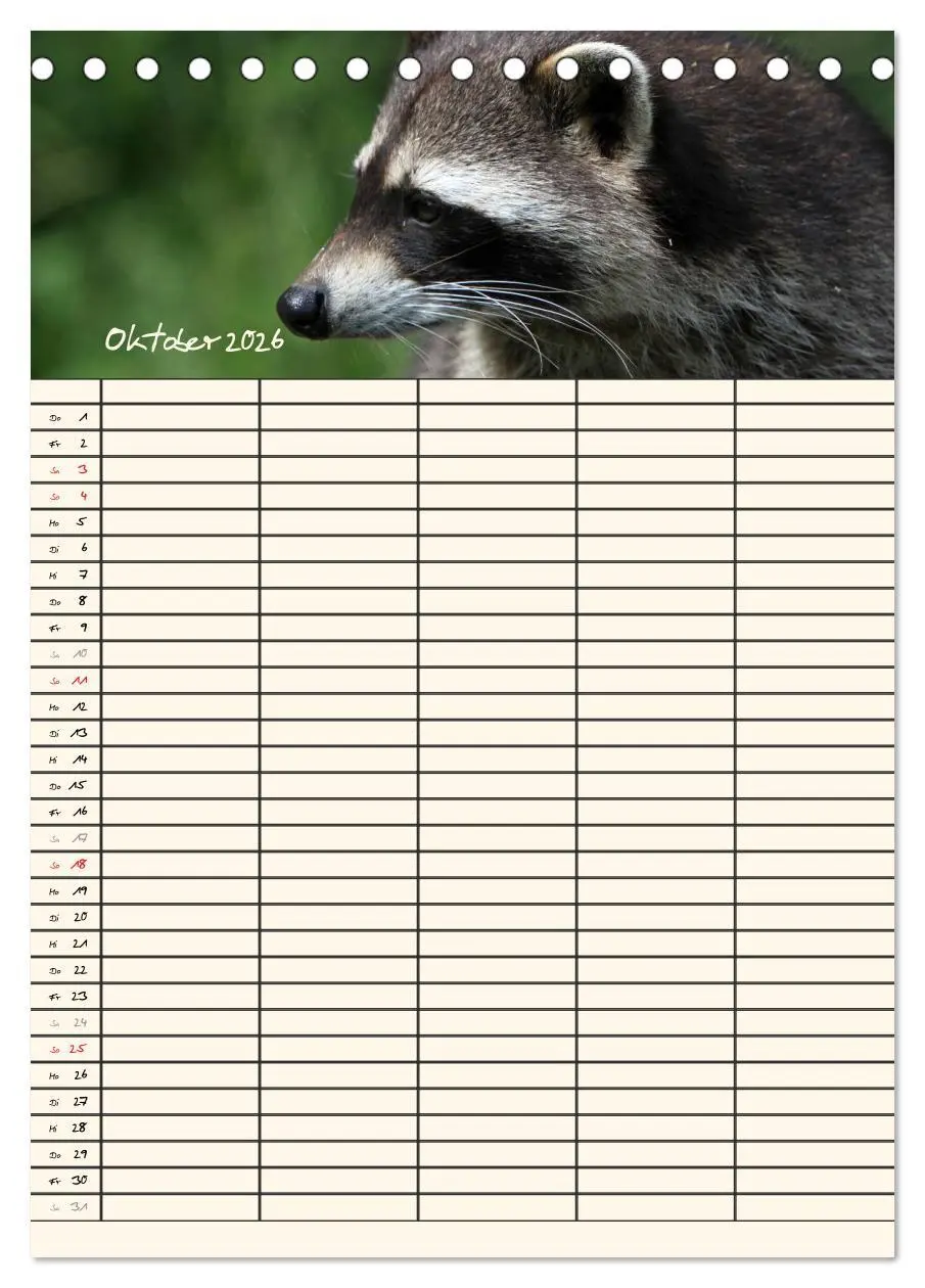 Bild: 9783516477771 | Waschbären Familienplaner (Tischkalender 2026 DIN A5 hoch),...