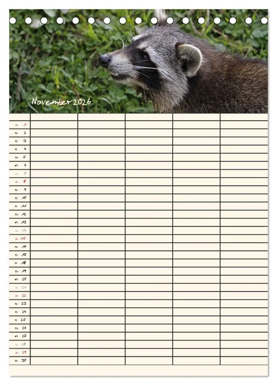 Bild: 9783516477771 | Waschbären Familienplaner (Tischkalender 2026 DIN A5 hoch),...