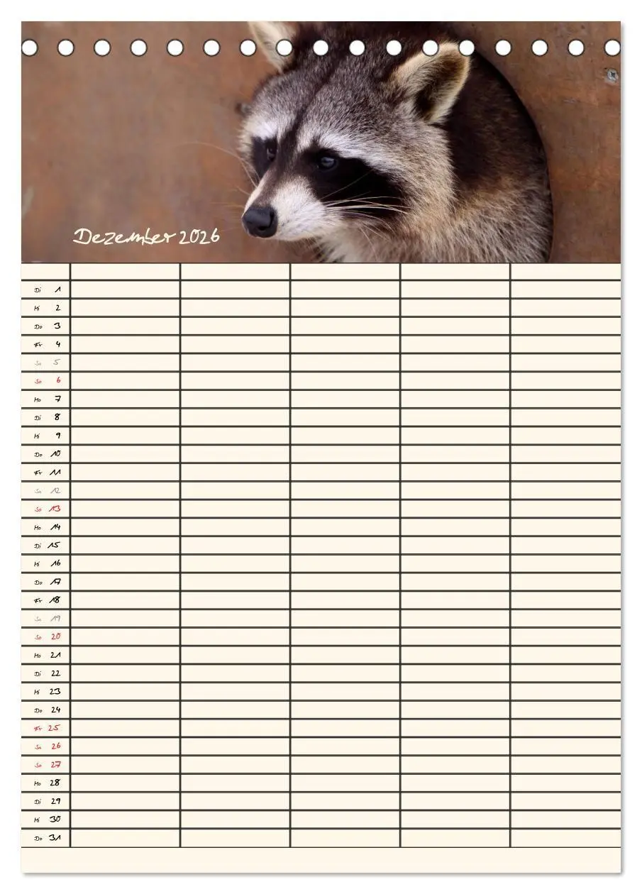 Bild: 9783516477771 | Waschbären Familienplaner (Tischkalender 2026 DIN A5 hoch),...