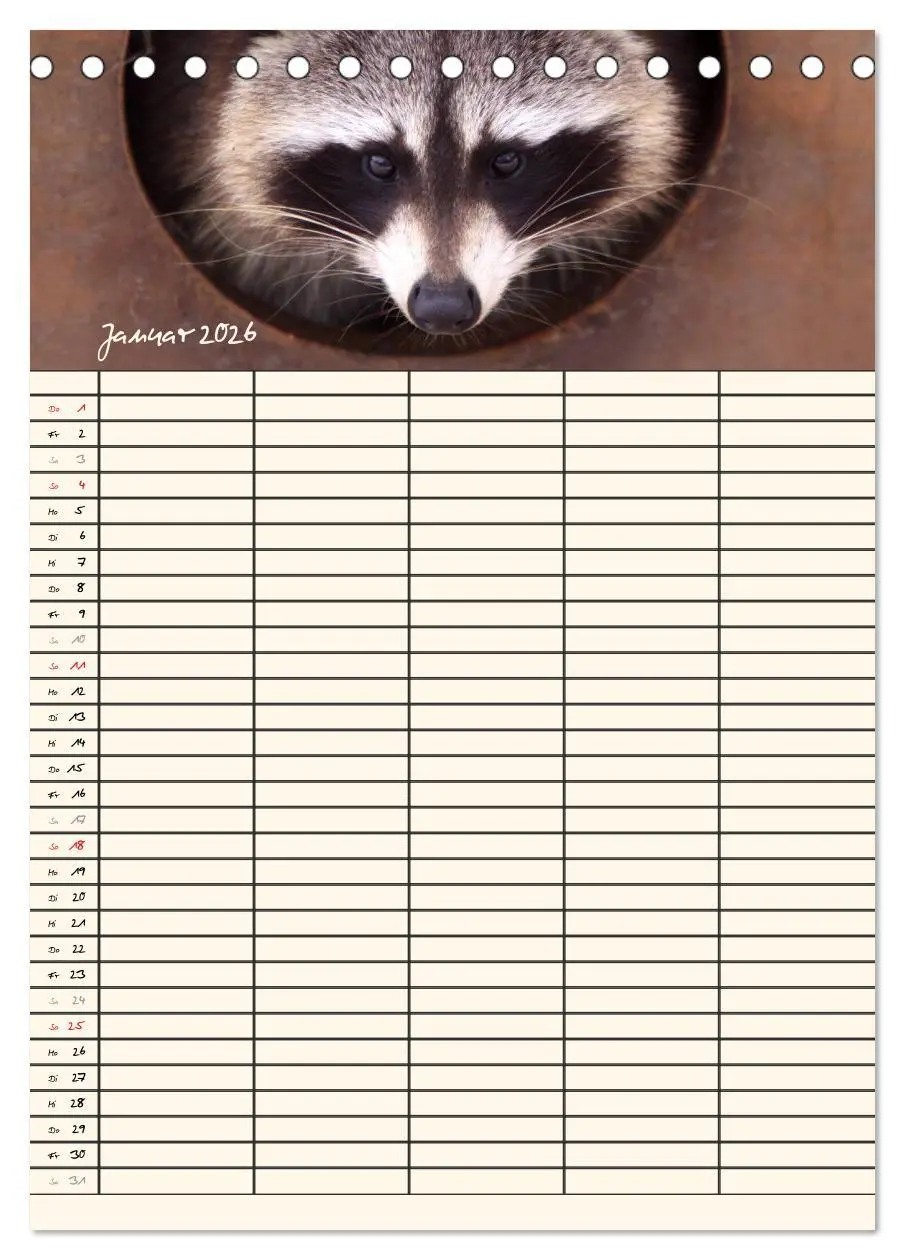 Bild: 9783516477771 | Waschbären Familienplaner (Tischkalender 2026 DIN A5 hoch),...