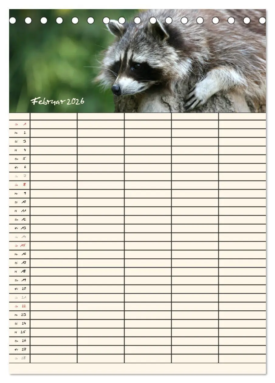 Bild: 9783516477771 | Waschbären Familienplaner (Tischkalender 2026 DIN A5 hoch),...